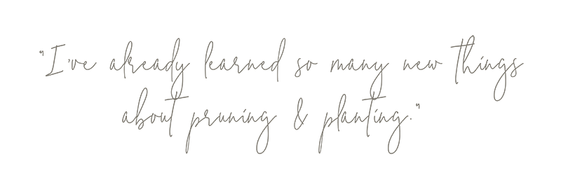 "I've already learned so many new things about pruning & planting." Quote from Those Plant Ladies at the Hickory House landscape installation.
