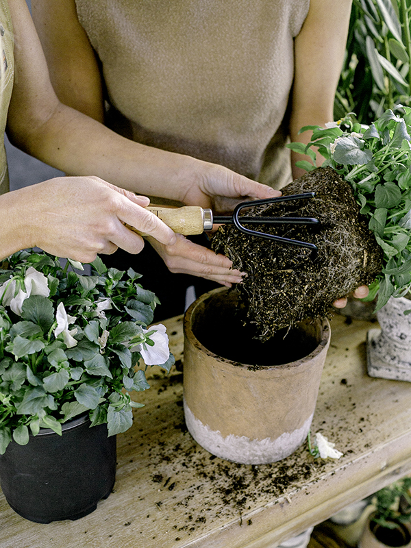 twin sisters those plant ladies potting plants, digging in soil