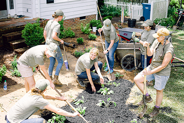 Those Plant Ladies installing hostas at The Hickory House.
