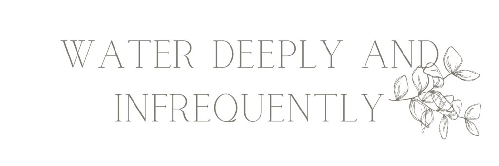 "Water deeply and infrequently" text