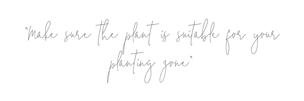 "make sure the plant is suitable for your planting zone" text.