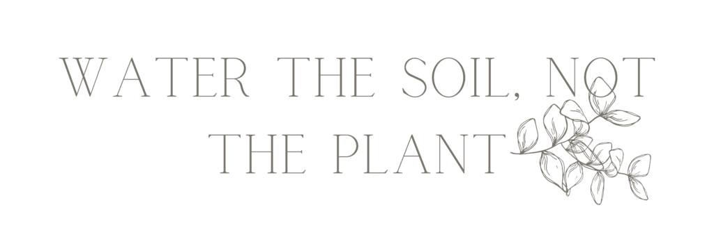 "Water the soil, not the plant" text