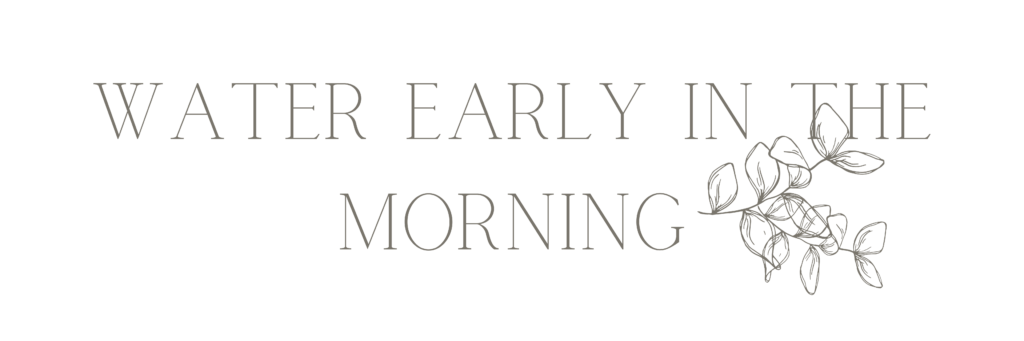 "Water early in the morning" text