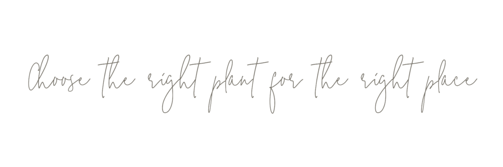 Choose the right plant for the right place text
