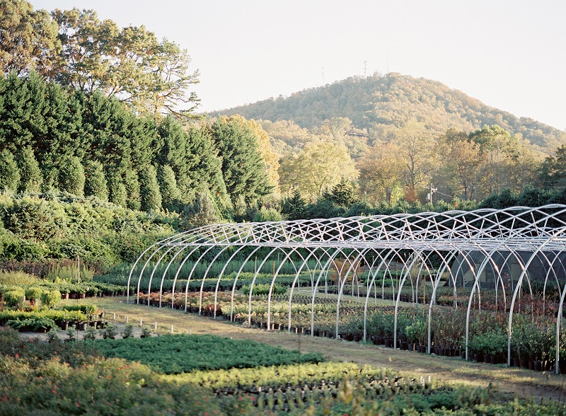 Greenhouse frame in the mountains, greenhouse plants