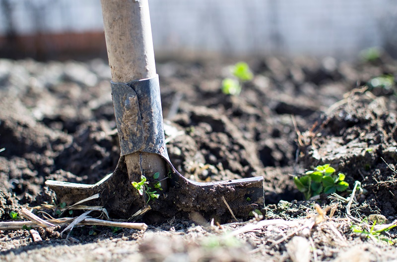 Shovel in soil, digging, weeds, planting in soil