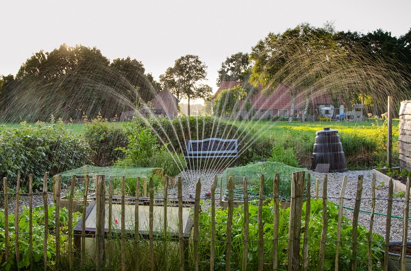 Water sprinkler in a garden and surrounding fence