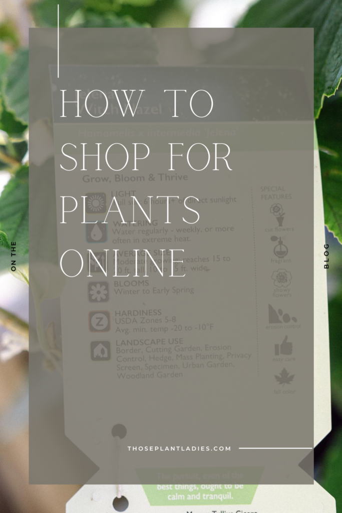 "How to Shop for Plants Online" text over plant label.