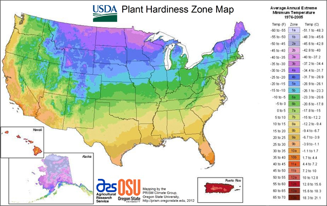 USDA Plant Hardiness Zone Map with colors to note each zone.