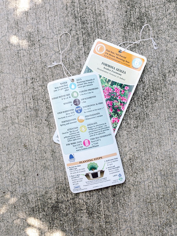 Plant labels for Formosa Azaleas, front and back.