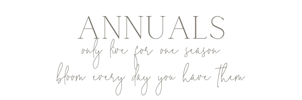 Definition of annuals in scripty font.