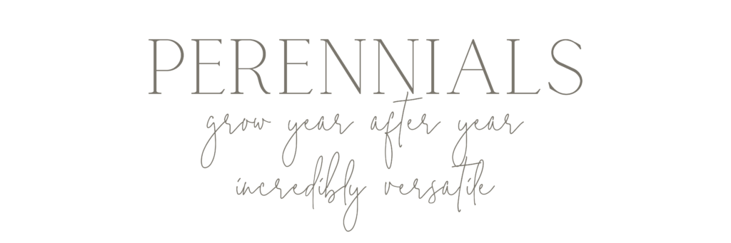 Definition of perennials in scripty font.