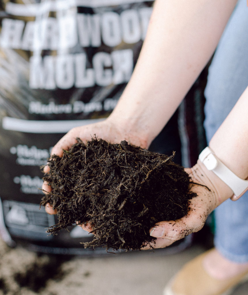 Holding a handful of mulch for display