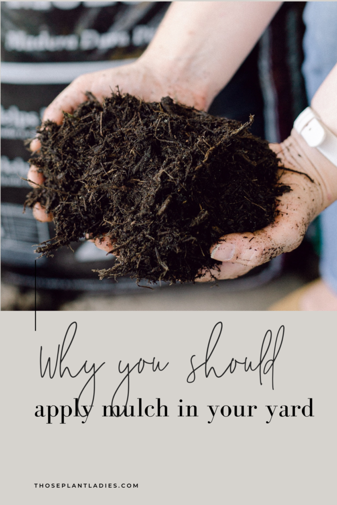 Why you should apply mulch in your hard