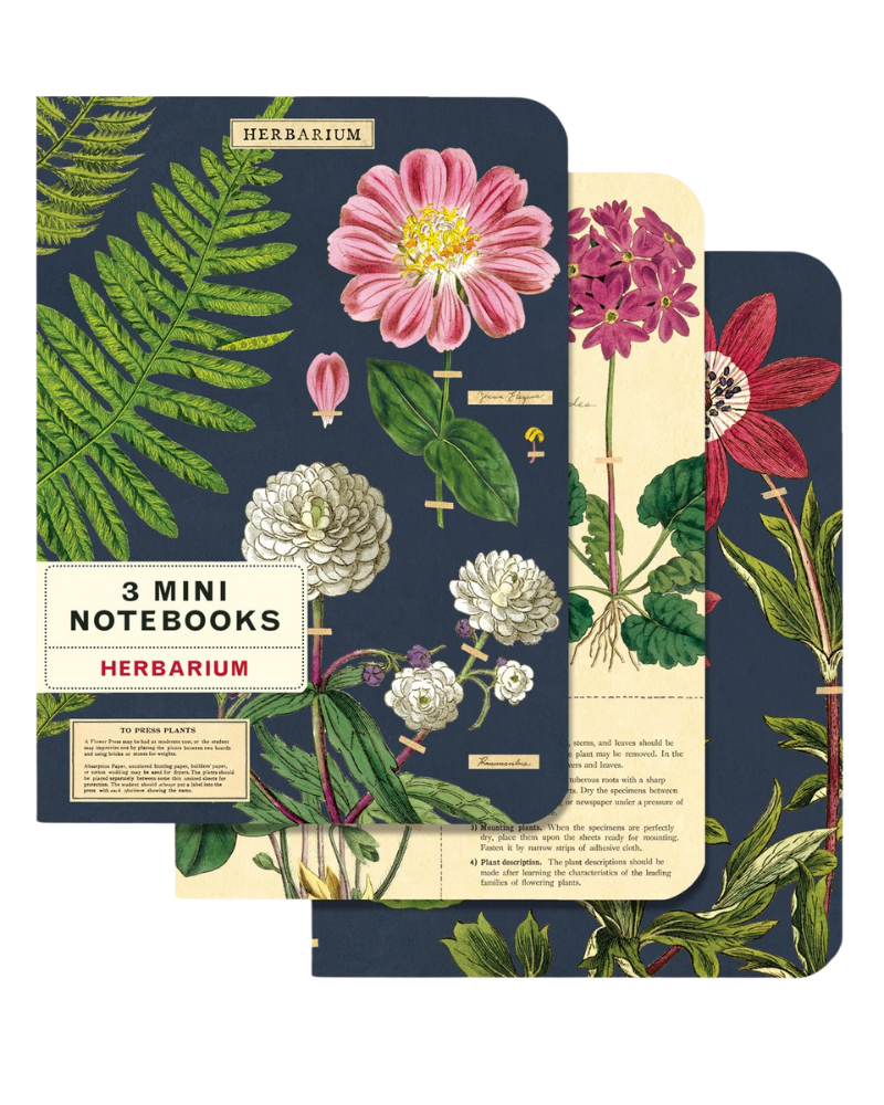 Set of 3 mini notebooks from Those Plant Ladies. Two with navy backgrounds, one with an ivory background. All 3 have greens and flowers arranged on the cover.