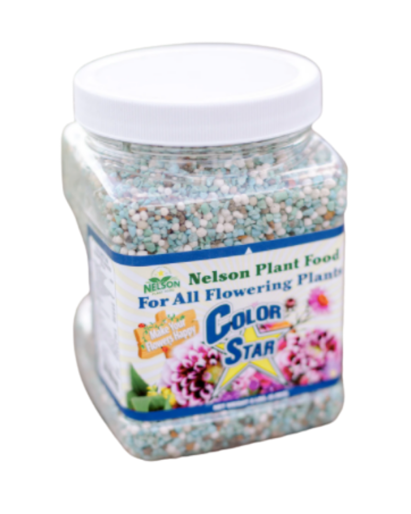 Nelson's Color Star Fertilizer from Those Plant Ladies. Clear container with lid.
