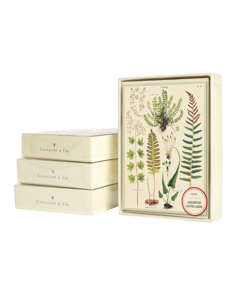 Boxed notecards from Those Plant Ladies; ivory background with greenery.