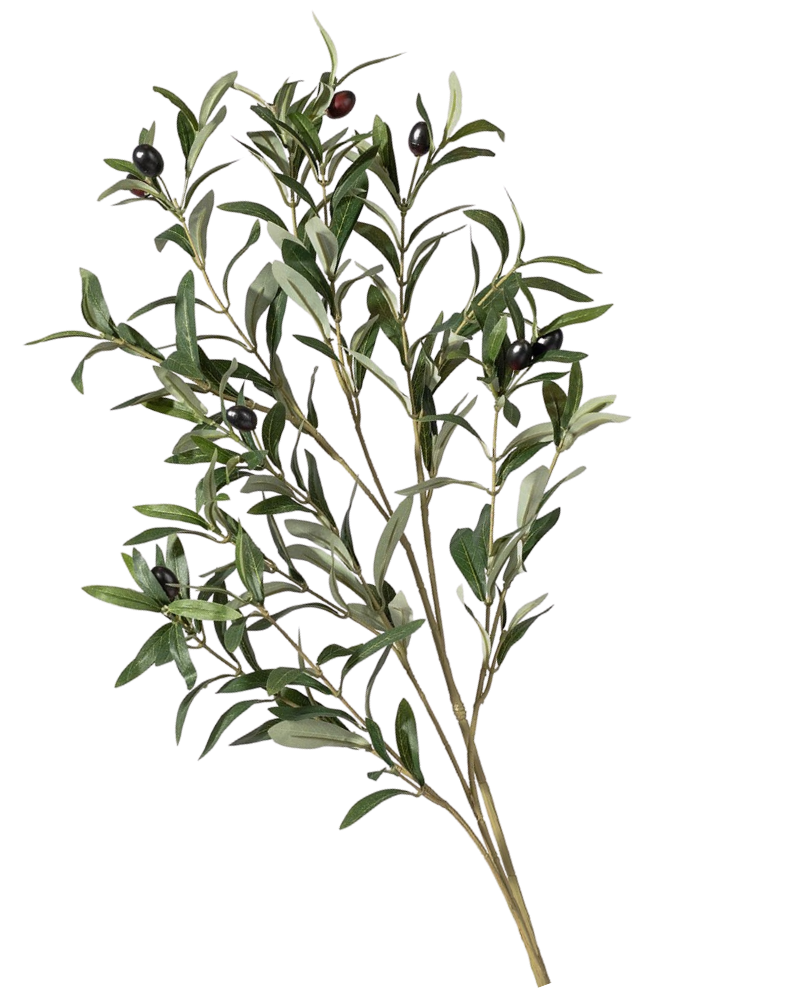 Faux olive branches from Those Plant Ladies. Green leaves on a brown stem, used for decorating.