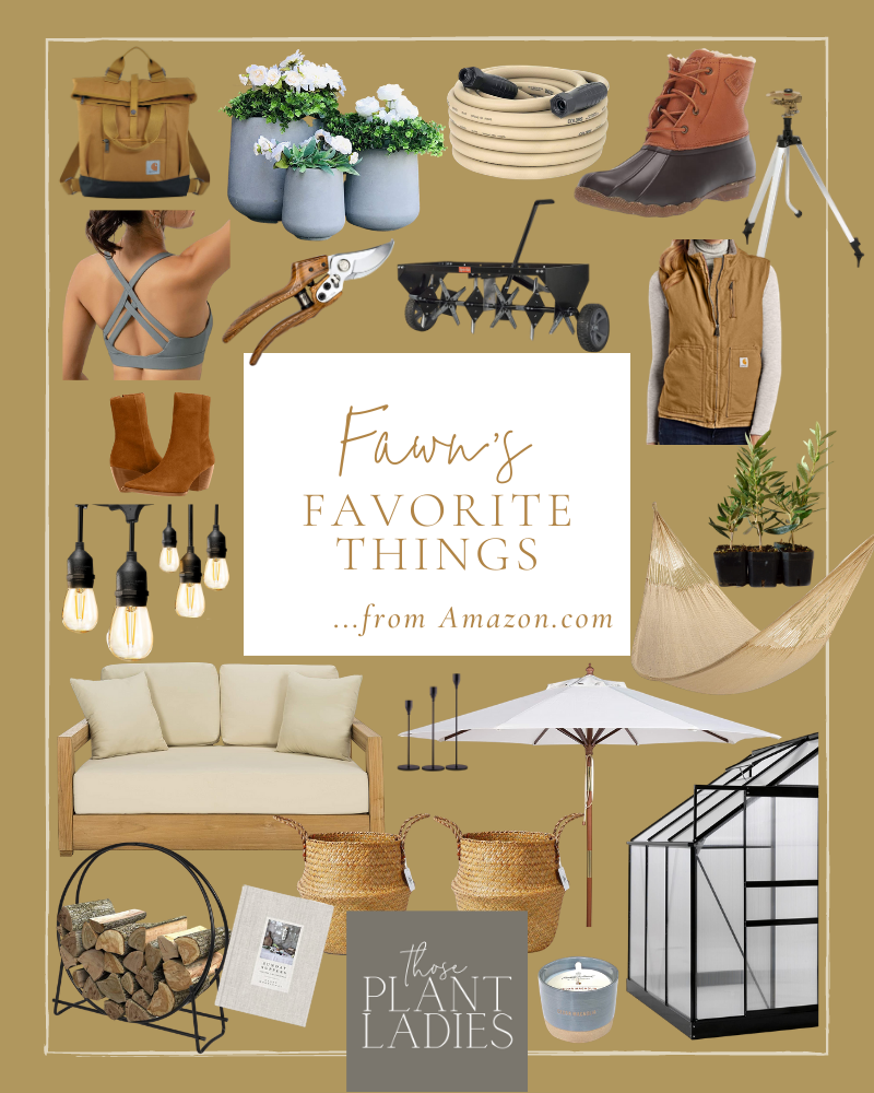 Fawn's favorite things from Amazon, organized in a collage.