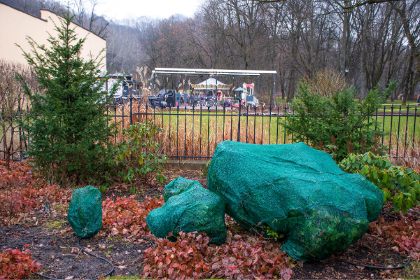 Landscape with leaves, rocks, shrubs, and grass.