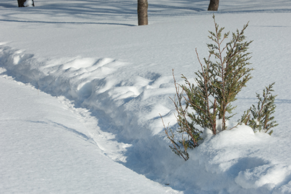 A snow-covered landscape.