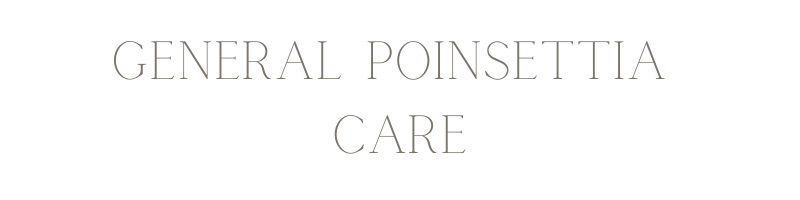 "general poinsettia care" text.