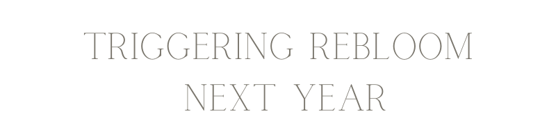 "Triggering rebloom next year" text.