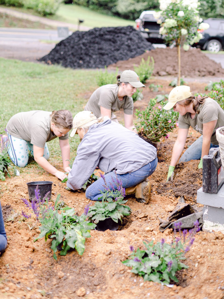 A crew of Those Plant Ladies installing a landscape installation; Those Plant Ladies: 5 Ways to Fight the Winter Blues