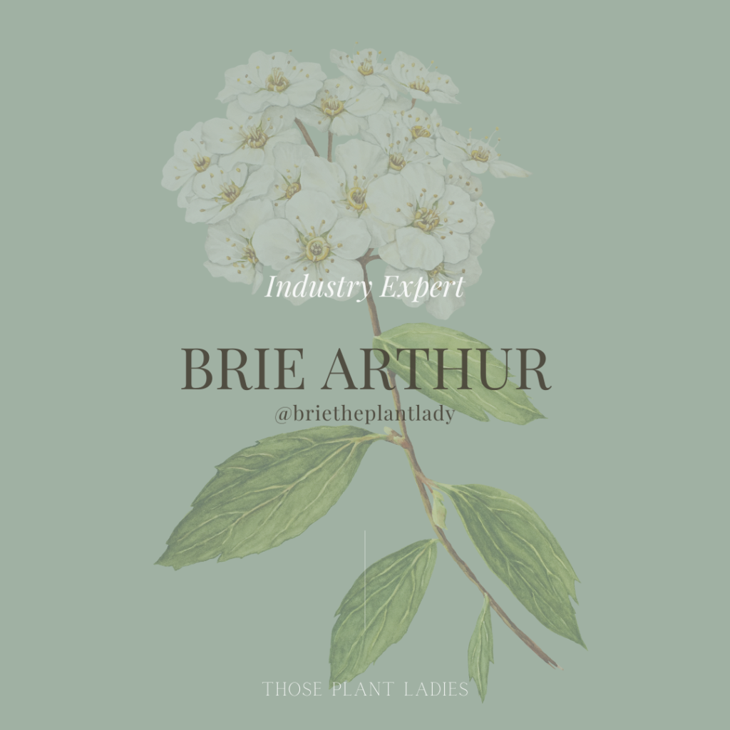 "Industry Expert: Brie Arthur" text.