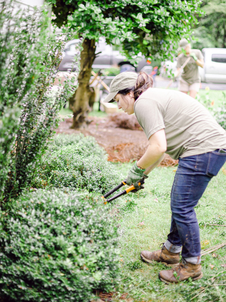 Member of Those Plant Ladies landscape installation crew pruning shrubs.