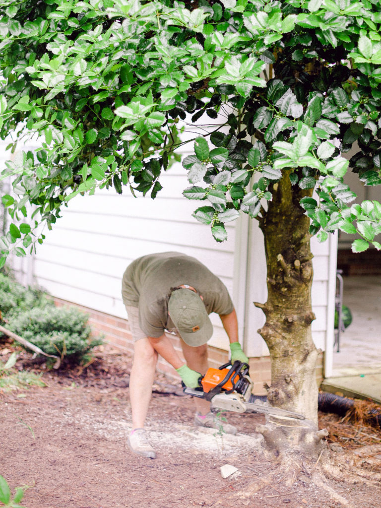 A member of Those Plant Ladies landscape installation crew using a chainsaw to remove a tree.