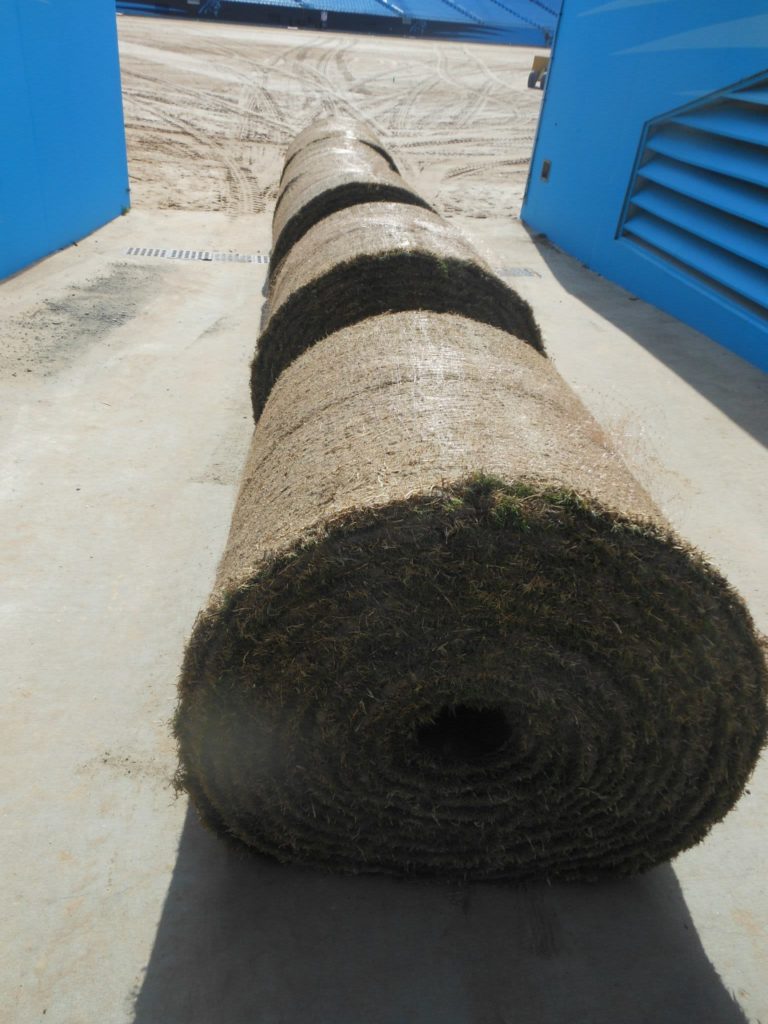 Rolls of turfgrass ready to be installed at the Carolina Panthers' Stadium.