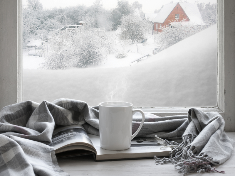 Warm coffee overlooking a snow-filled scene out the window; Those Plant Ladies: 5 Ways to Fight the Winter Blues