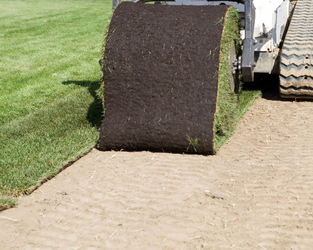 A roll of turfgrass being installed.