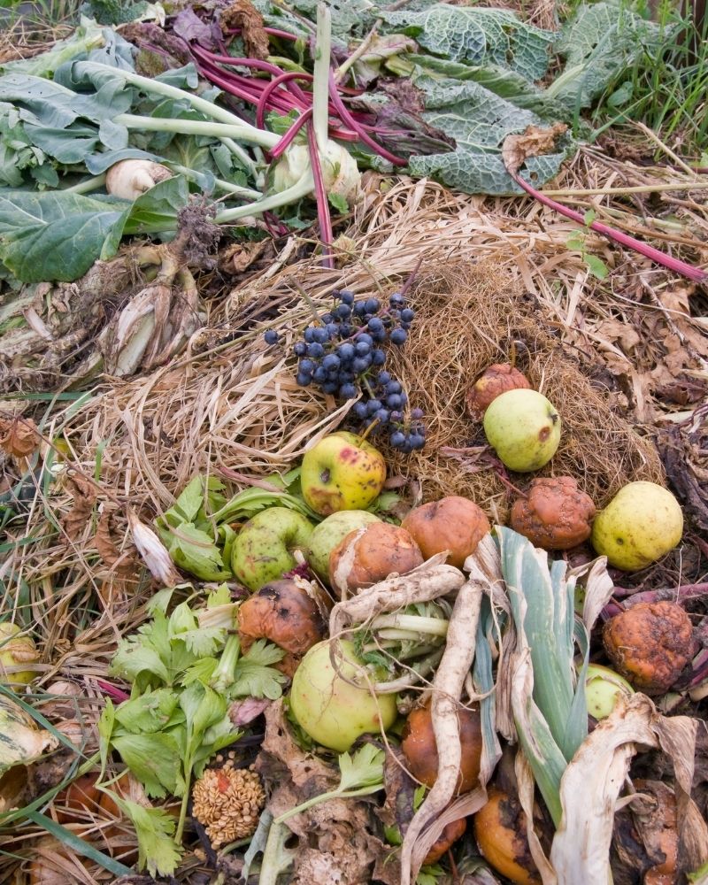 Food and natural earth, ready to be composted.