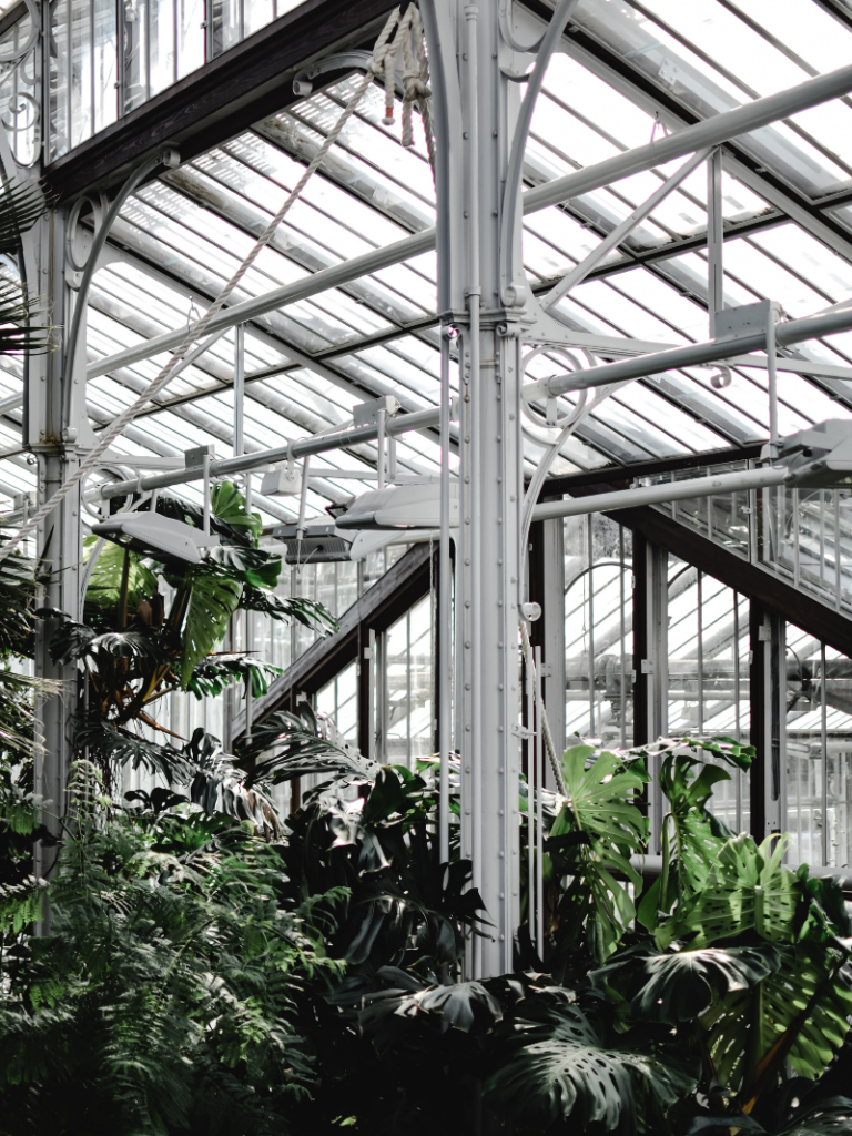 A botanical garden; Those Plant Ladies: 5 Ways to Fight the Winter Blues