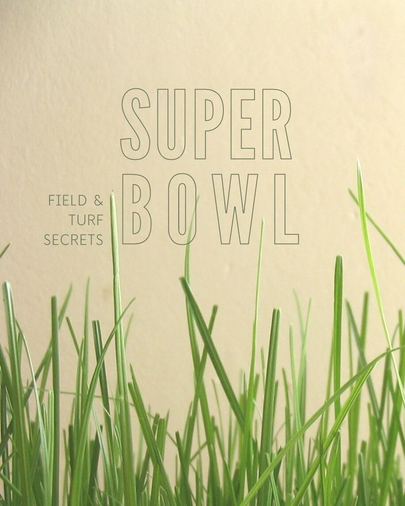 "Super bowl: field and turf secrets" text.