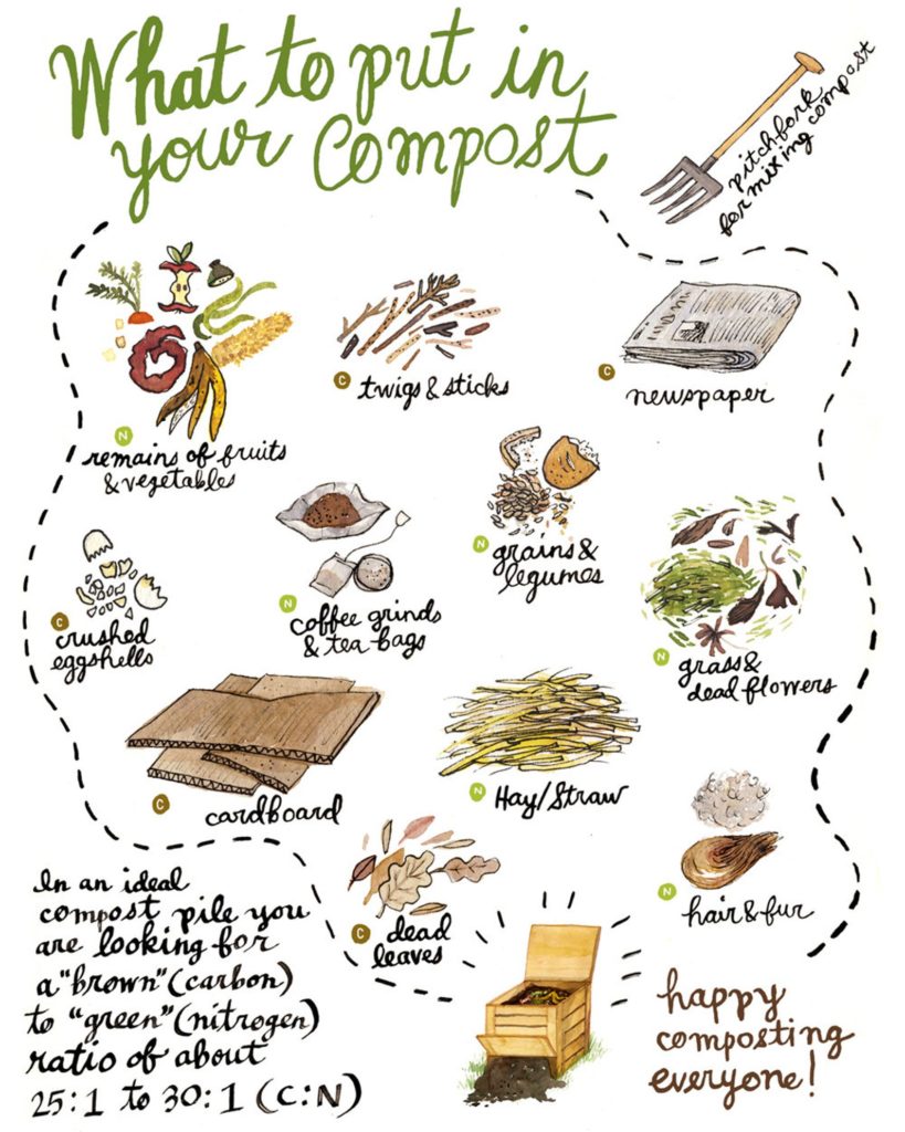 What to put in your compost, poster by Robin Clungston.