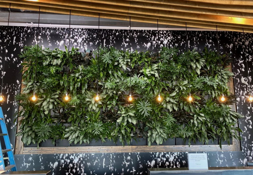 Living walls from Rocky Mountain Living Walls, featured on the Those Plant Ladies blog.