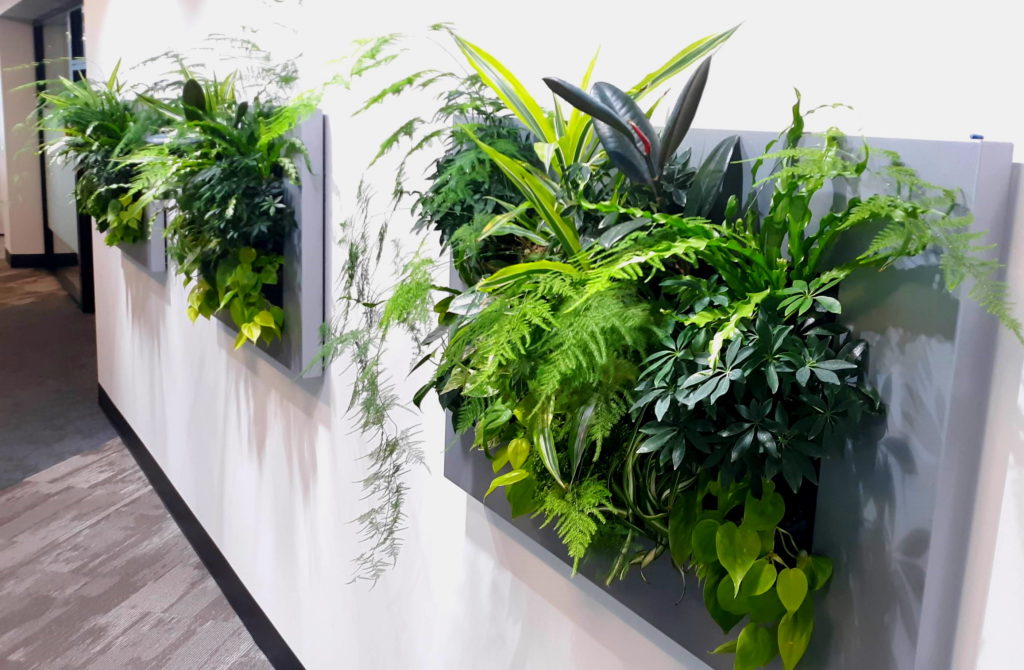 Living walls from Rocky Mountain Living Walls, featured on the Those Plant Ladies blog.