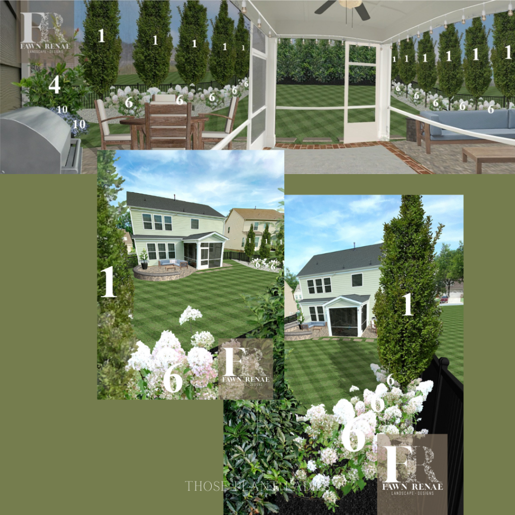 Compilation of design images including Musashino Zelkova trees from Fawn Renae Designs.