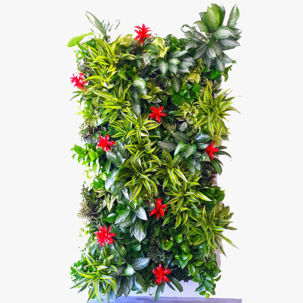 A living wall with greens and some pops of red.
