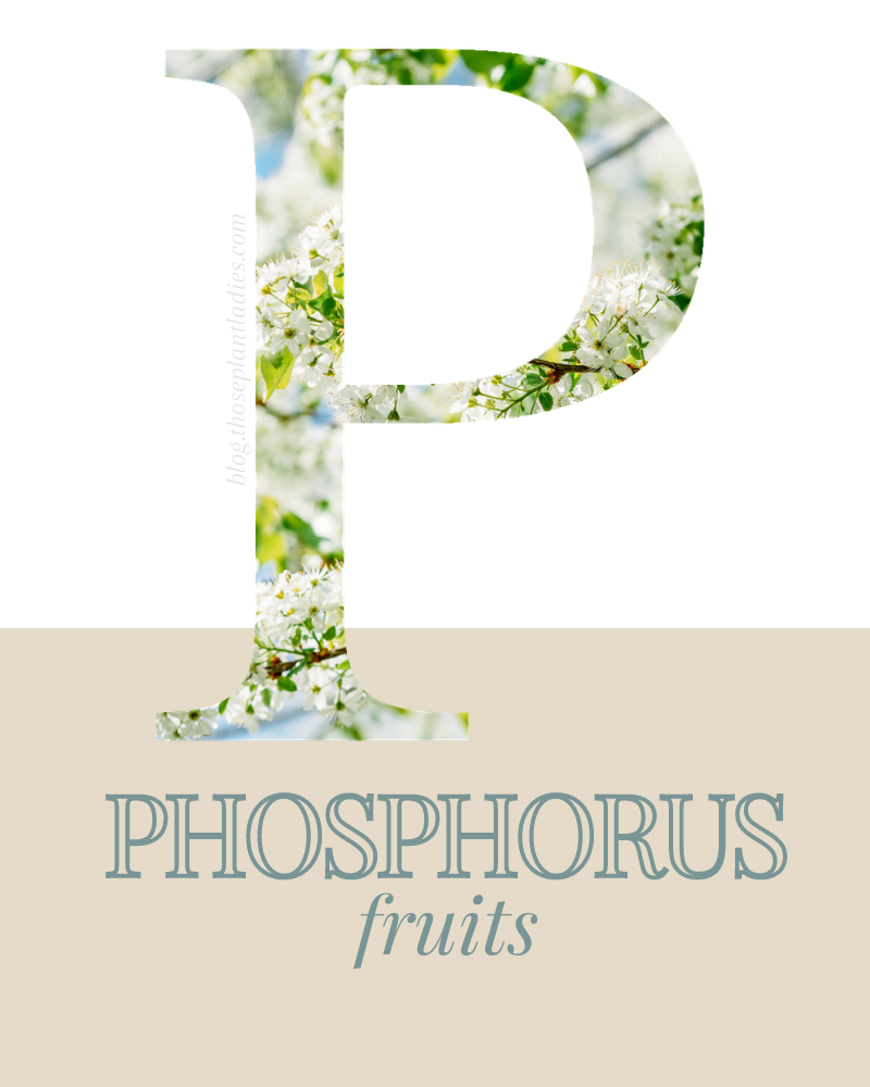 Phosphorus fertilizer is for the fruits.
