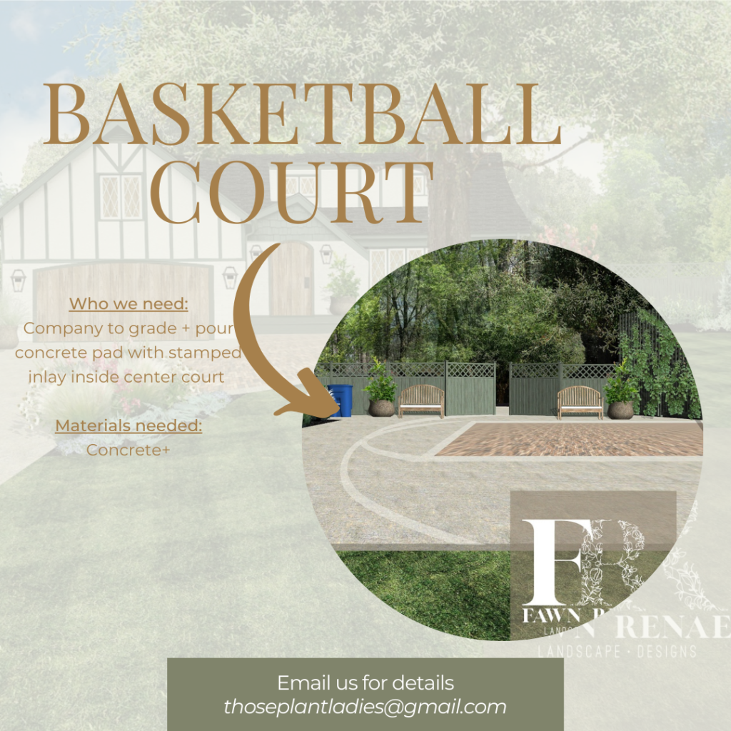 Infographic with details about the basketball court for the local HGTV-inspired TV show created by Those Plant Ladies.