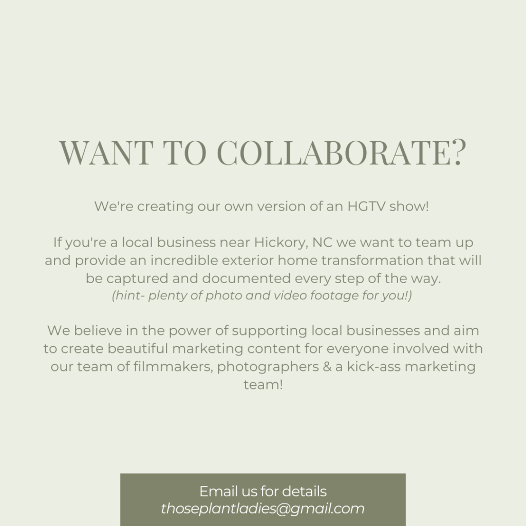 Infographic with details for collaborating on the HGTV-inspired show created by Those Plant Ladies.