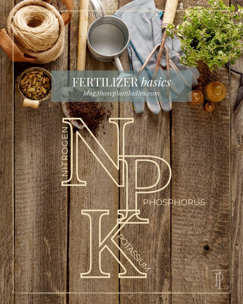 Fertilizer 101: NPK