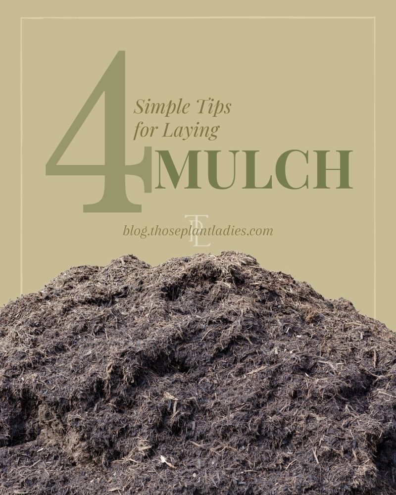 Infographic with 4 Simple Tips for Laying Mulch by Those Plant Ladies.